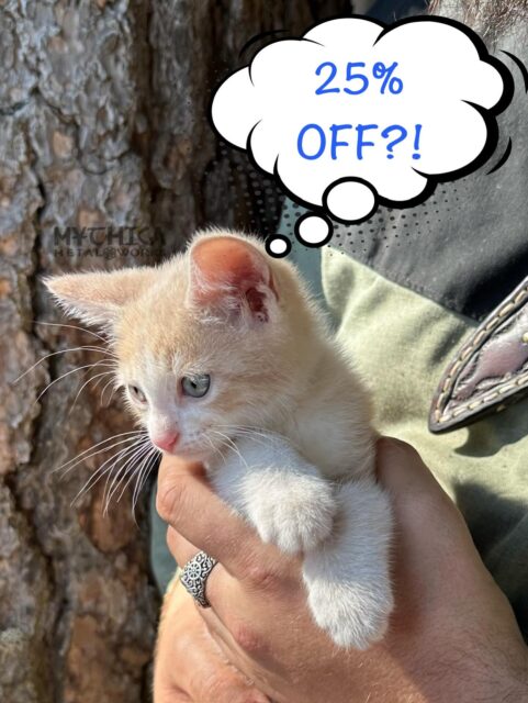 Adorable friend of the booth Jonesy is also shocked by the announcement of our biggest sale EVER! 25% off everything through Cyber Monday Dec 1st! More items will be added every day, and I’m happy to combine orders for shipping. Please click the link in bio to shop, using direct links means more of your money goes to the artist on Etsy. You can also shop in person @geekcraftexpo_seattle Friday-Sunday!
.
.
.
#shopsmall #artisan #handcraftedjewellery #seattleartist