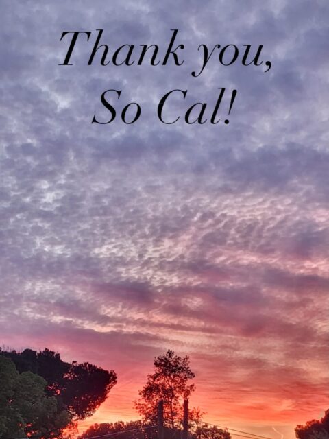Another beautiful season of @renaissancepleasurefaire in the books! A huge thank you to my wonderful booth team for all they do to help make this possible. I’m terrible at remembering to get photos of us together! Additionally, many thanks to every person who supports my work and keeps this little handmade business afloat. I am so deeply grateful. Until next time, So Cal. ❤️ Next stop @oregonfaire!